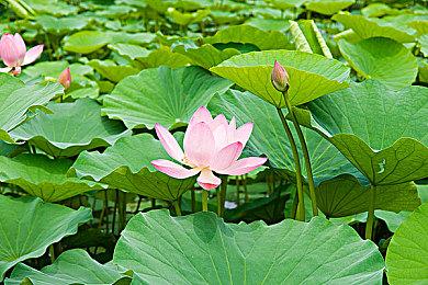 《漫威蜘蛛侠2》《瑞奇与叮当》在PS5 PRO上4K＆60帧运行